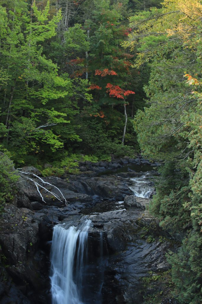 A picturesque scene of a waterfall cascading over rocks, surrounded by lush green trees with hints of autumn foliage in shades of red and orange.